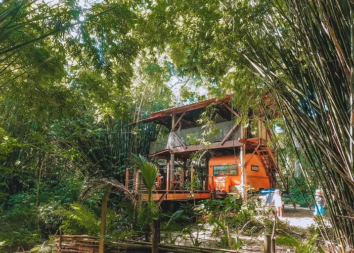 Cabana Do Tarzan Na Praia De Parati Mirim