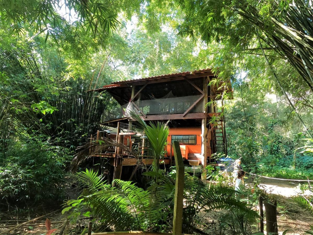 Do Tarzan Na De Mirim *