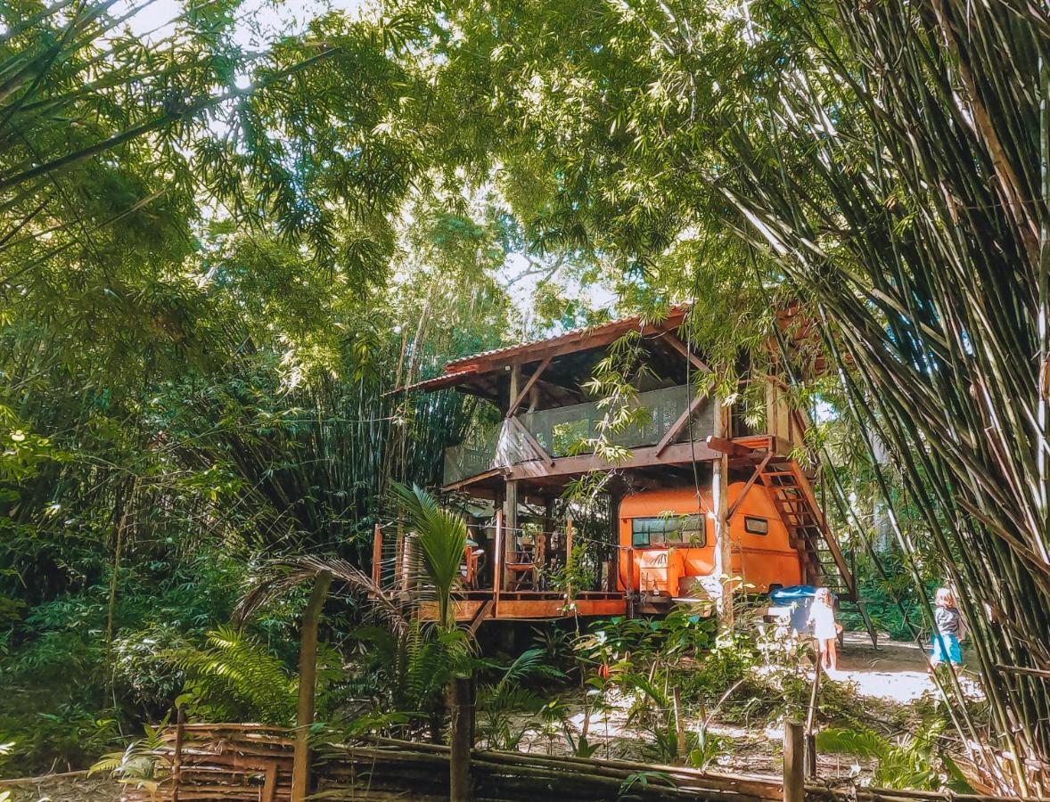 Do Tarzan Na De Mirim Lodge *