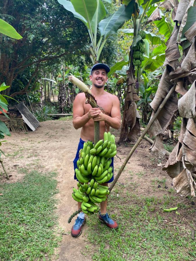Do Tarzan Na De Mirim Lodge Paraty