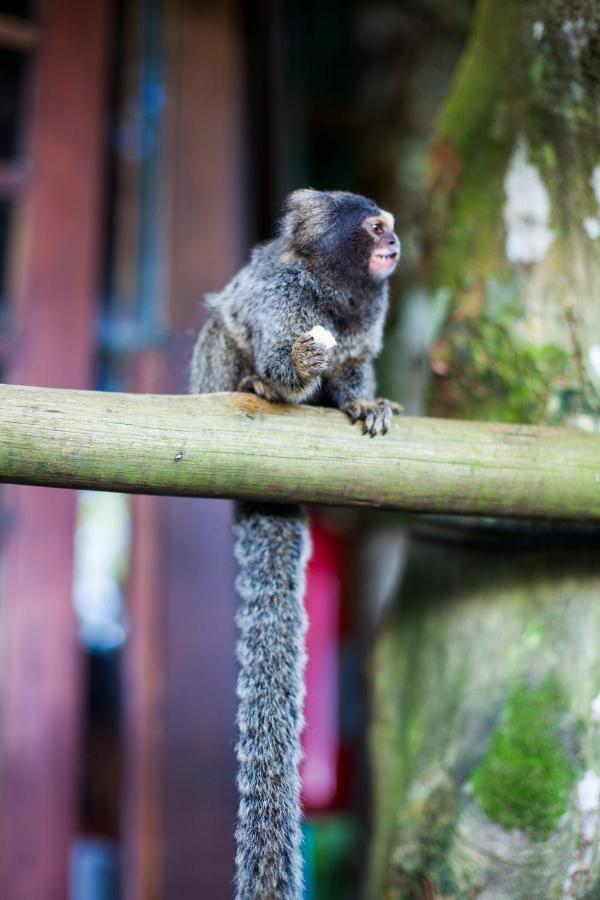 Lodge Do Tarzan Na De Mirim *