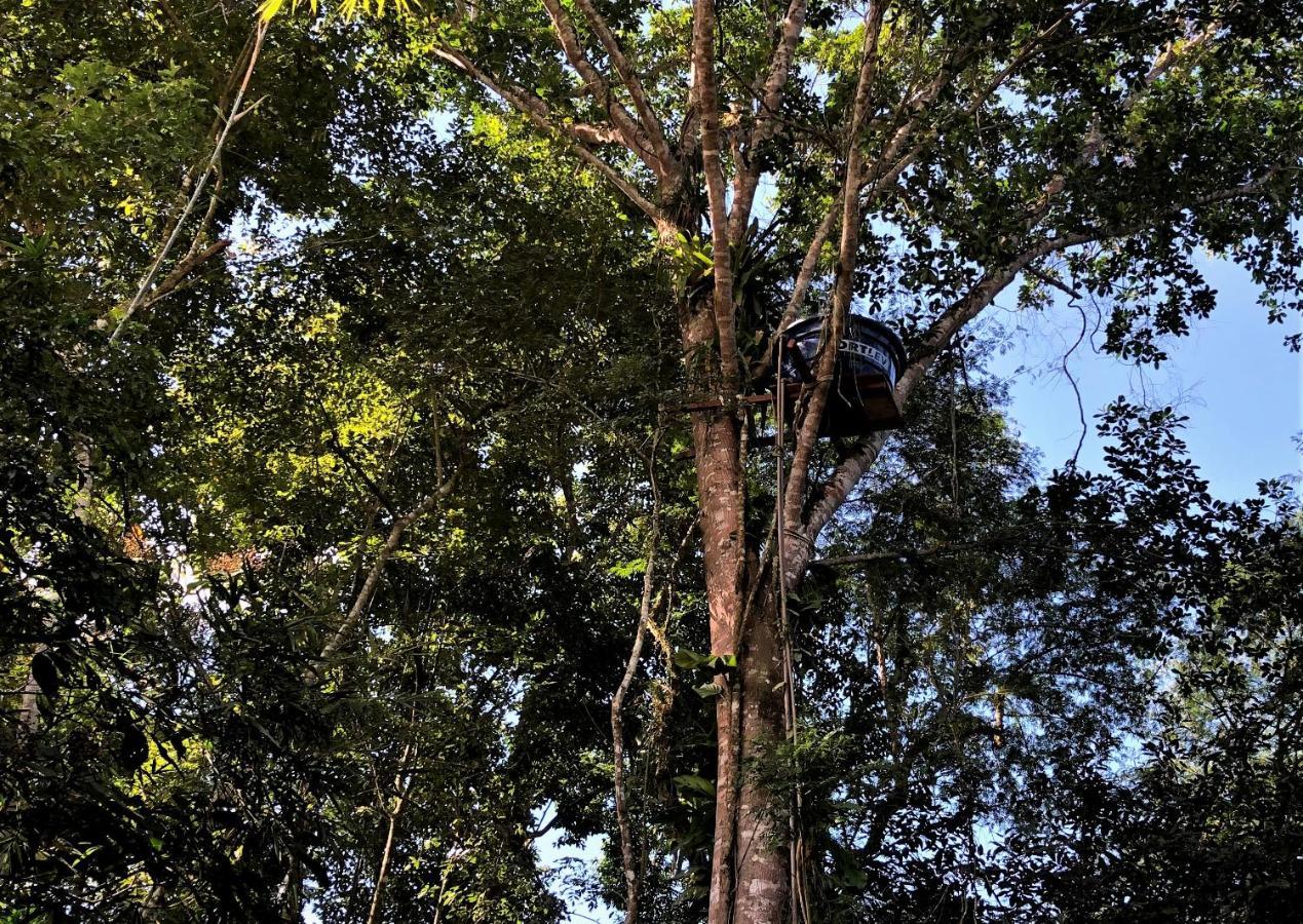 Lodge Do Tarzan Na De Mirim *