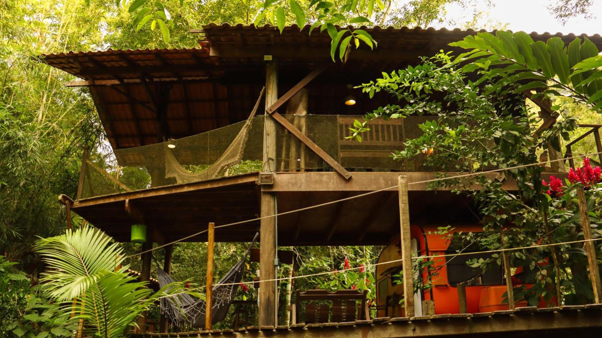 Do Tarzan Na De Mirim *