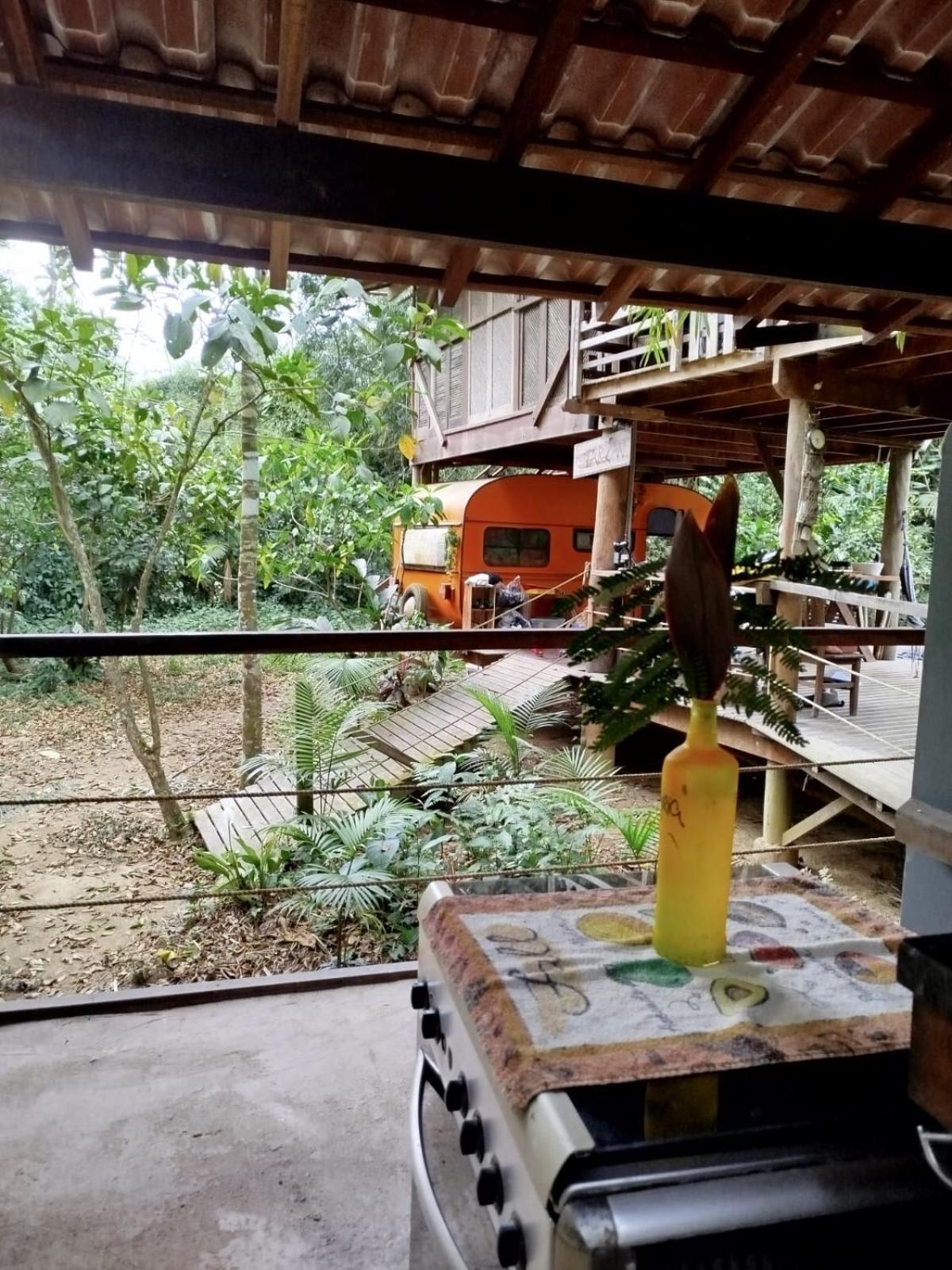 Do Tarzan Na De Mirim Paraty