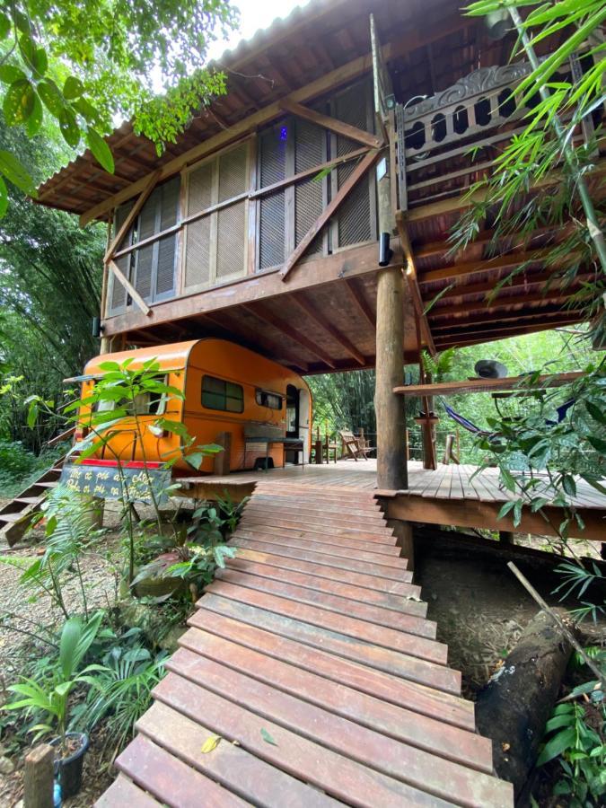 Do Tarzan Na De Mirim Lodge