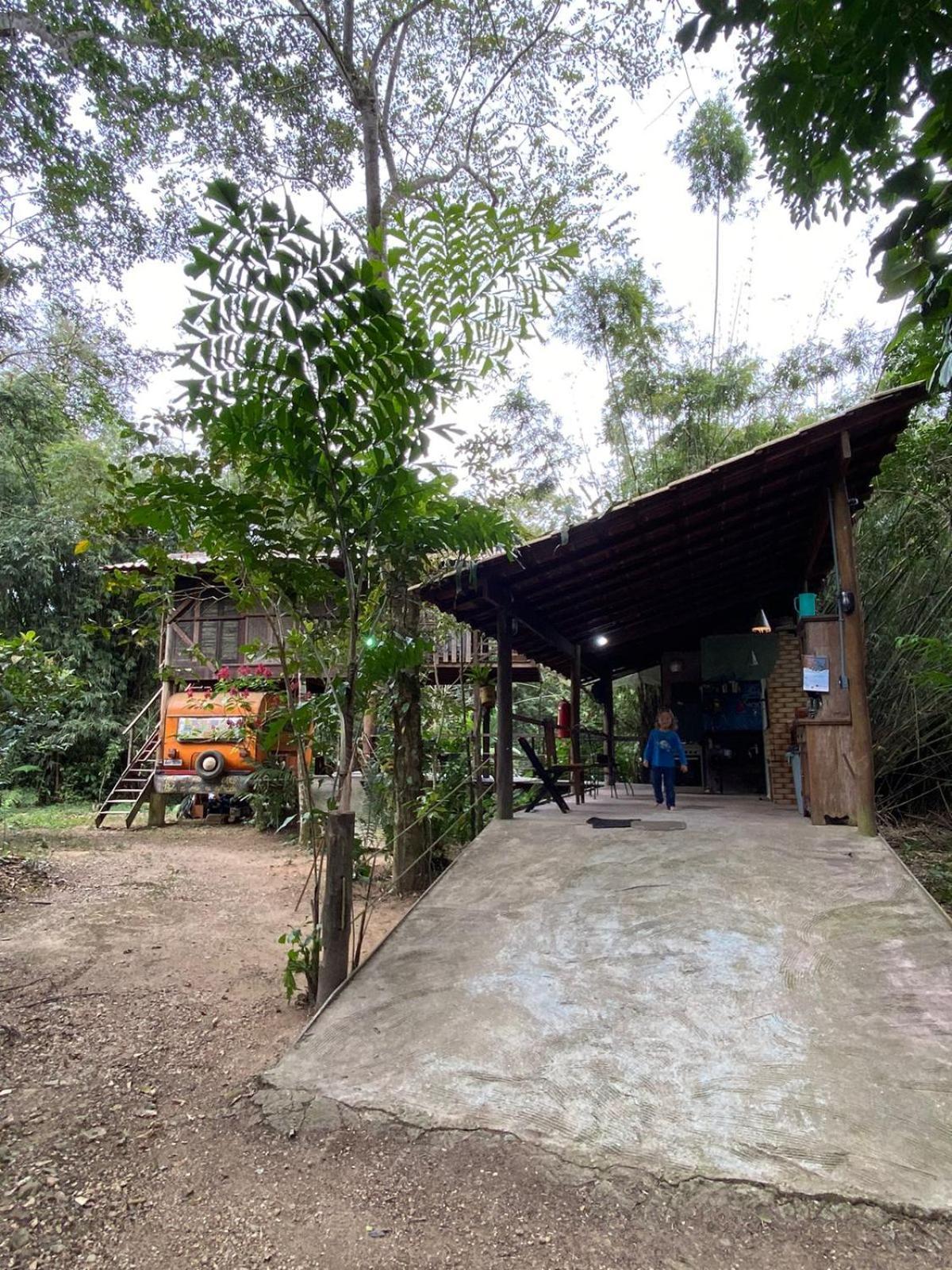 Do Tarzan Na De Mirim Paraty